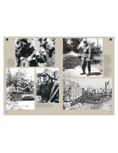 SS-Panzer-Division "FRUNDSBERG" Deel 1: Van Galicië naar... 2