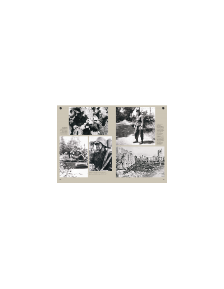SS-Panzer-Division "FRUNDSBERG" Vol. 1: From Galicia to Normandy