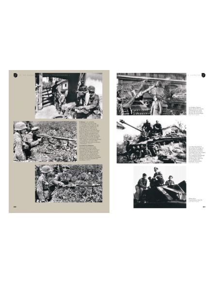 SS-Panzer-Division "FRUNDSBERG"  Tome 1 : De la Galicie à la Normandie