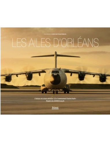 LES AILES D'ORLÉANS - L'histoire de la base...