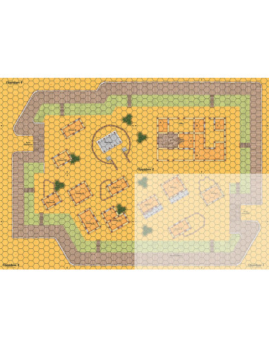 CELTIC OPPIDUM
