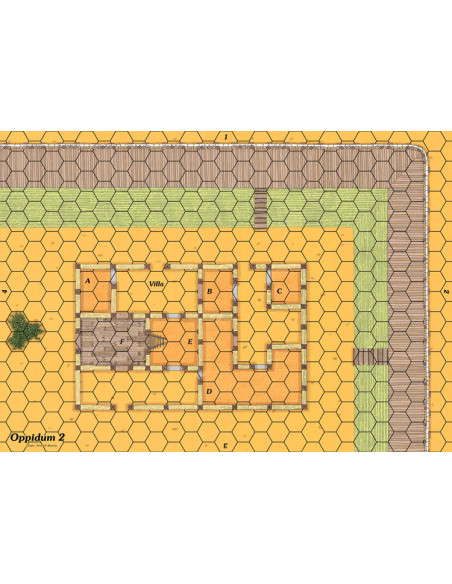 CELTIC OPPIDUM