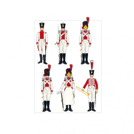 DIE ITALIENER DES KAISERS - Die Armeen der italienischen Halbinsel 1800-1815