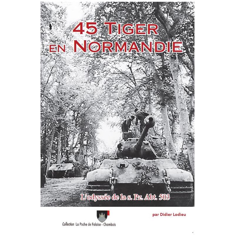 45 Tigers in Normandy